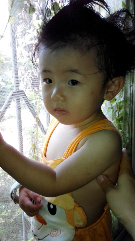 2451069336-3b013ec22aa978e7